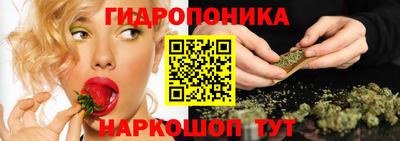apvp Ярославль