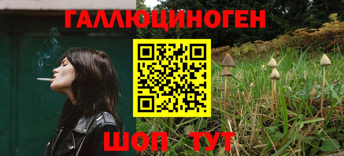 Камень-на-Оби  Псилоцибиновые грибы Cubensis  купить   Вход с VPN 