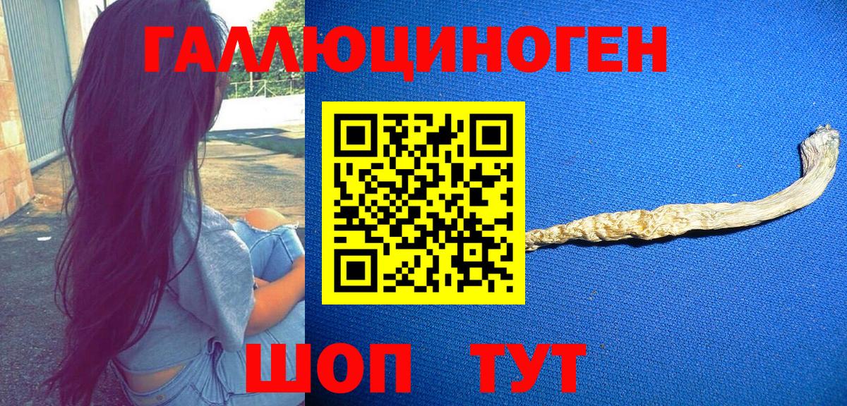 Галлюциногенные грибы ЛСД Камень-на-Оби